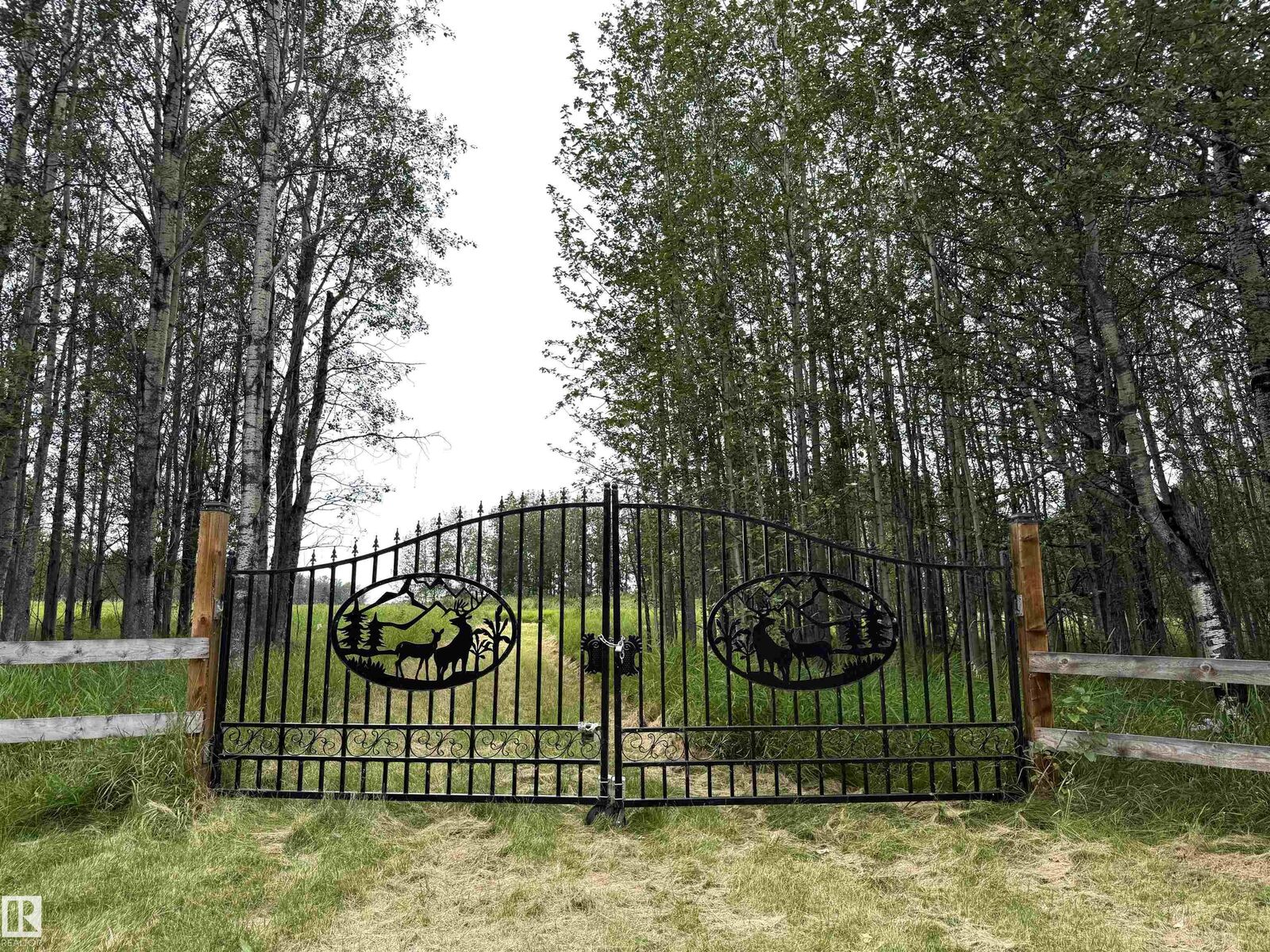 Property Photo:  Lot 6 Buck Lake Estates  AB T0C 0T0 