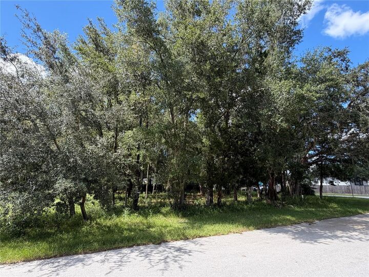 Property Photo:  7457 W Turkeyneck Court  FL 34448 