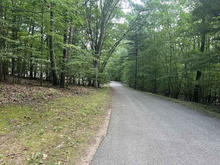 Property Photo: 9433 S Annie Lane MI 49337