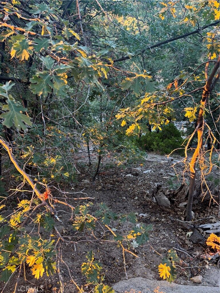 Property Photo:  1 Crest Forest  CA 92322 