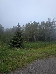 Property Photo:  5937 Highway 11/17  ON P0T 1W0 