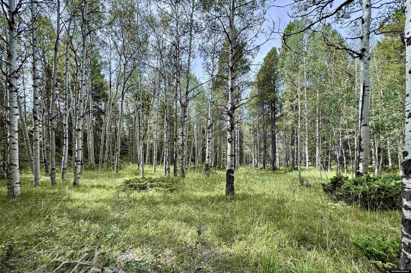 Property Photo: Lot 620 Starwallow #6 Road WY 82601