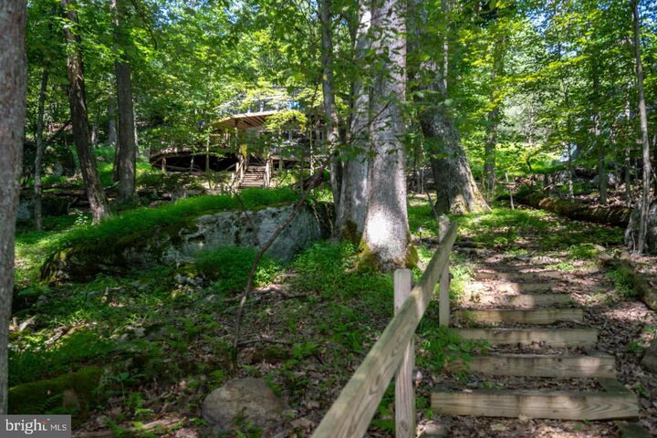 Property Photo:  2849 Shingle Camp Road  MD 21550 