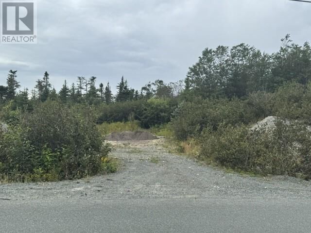 Property Photo:  2-6 Vineyard Drive  NL A1L 3V9 