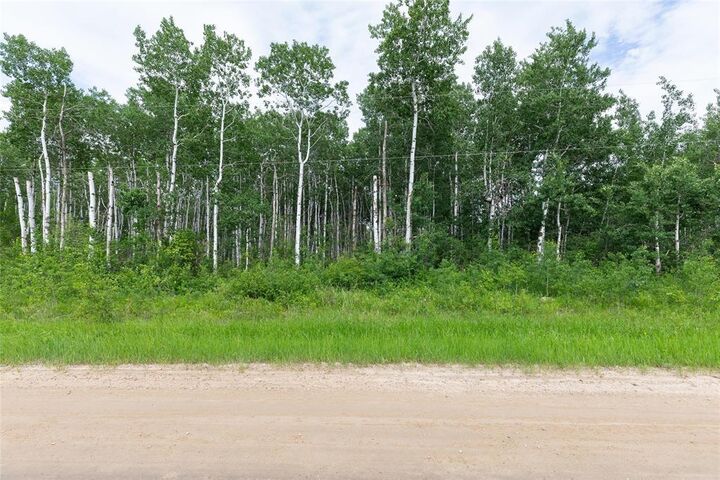 Property Photo:  1 39139 Road 41E Road  MB R0A 0W0 