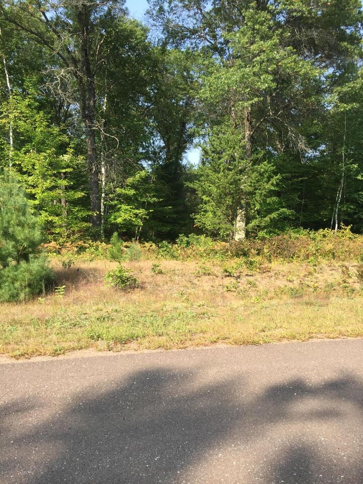 Property Photo:  Lot 33 Shady Lane  WI 54872 