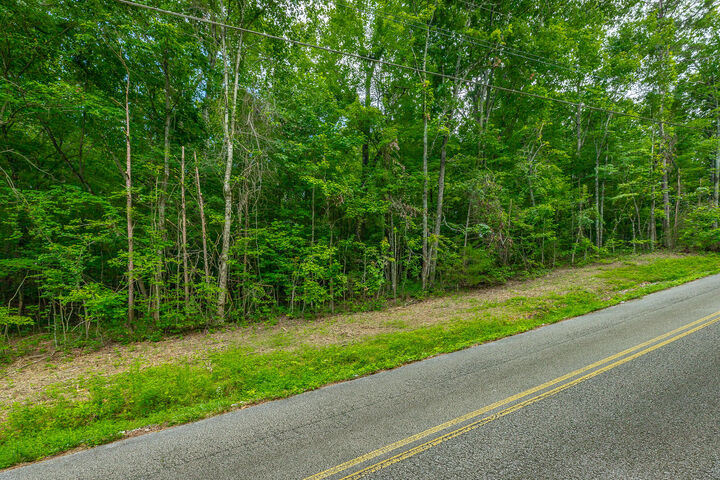 Property Photo:  1005 Tanya Drive  TN 37397 