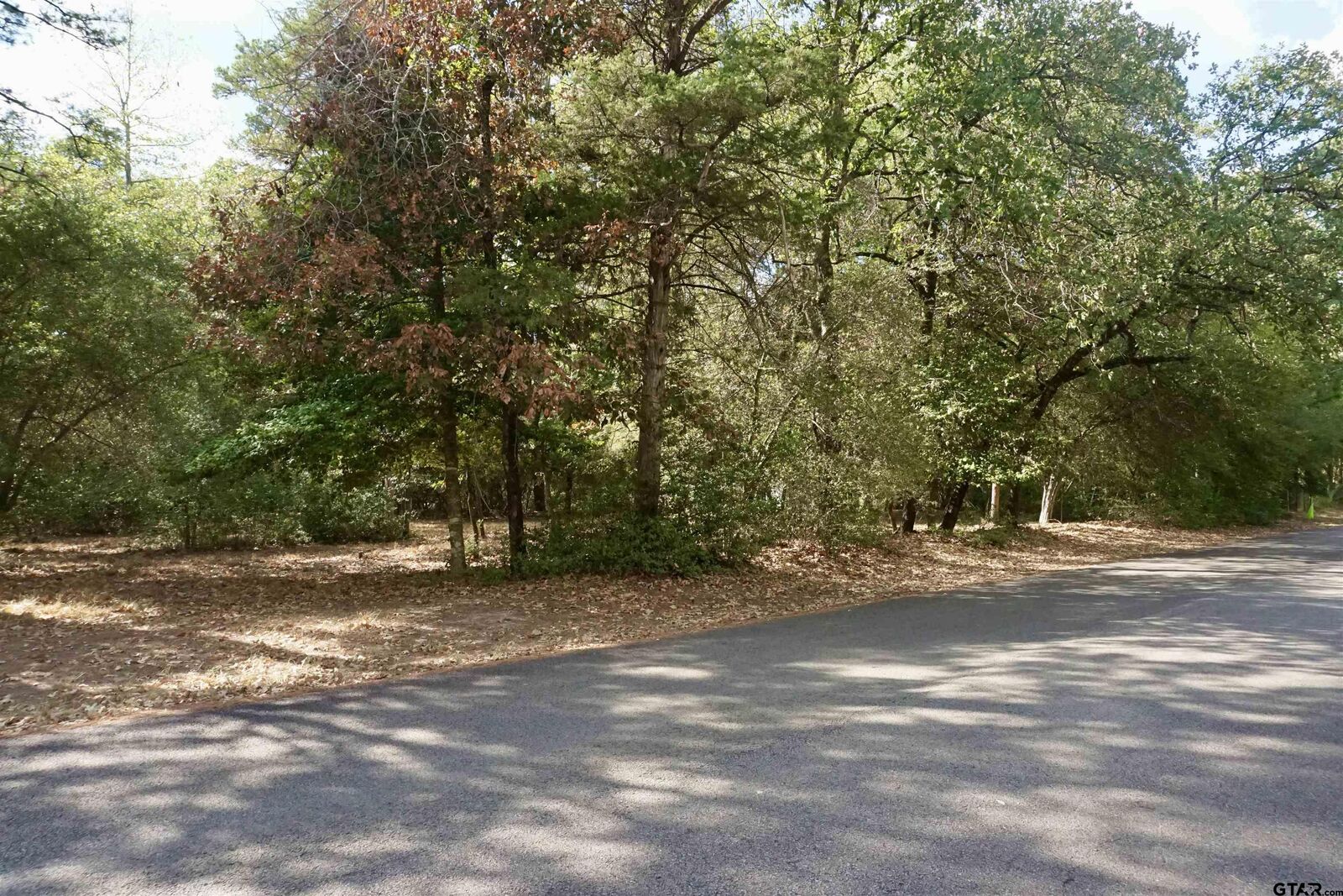 Property Photo: Tbd Lot 146 (Evening Shadows Trail) TX 75765