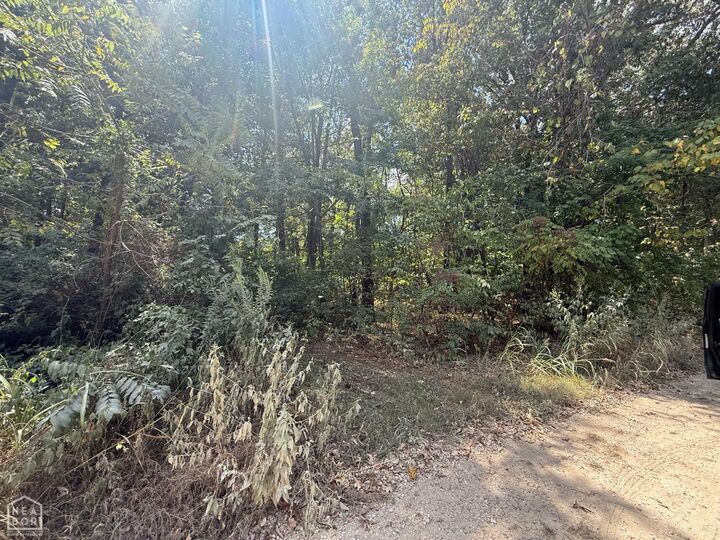Property Photo: 2 County Road 320 AR 72416
