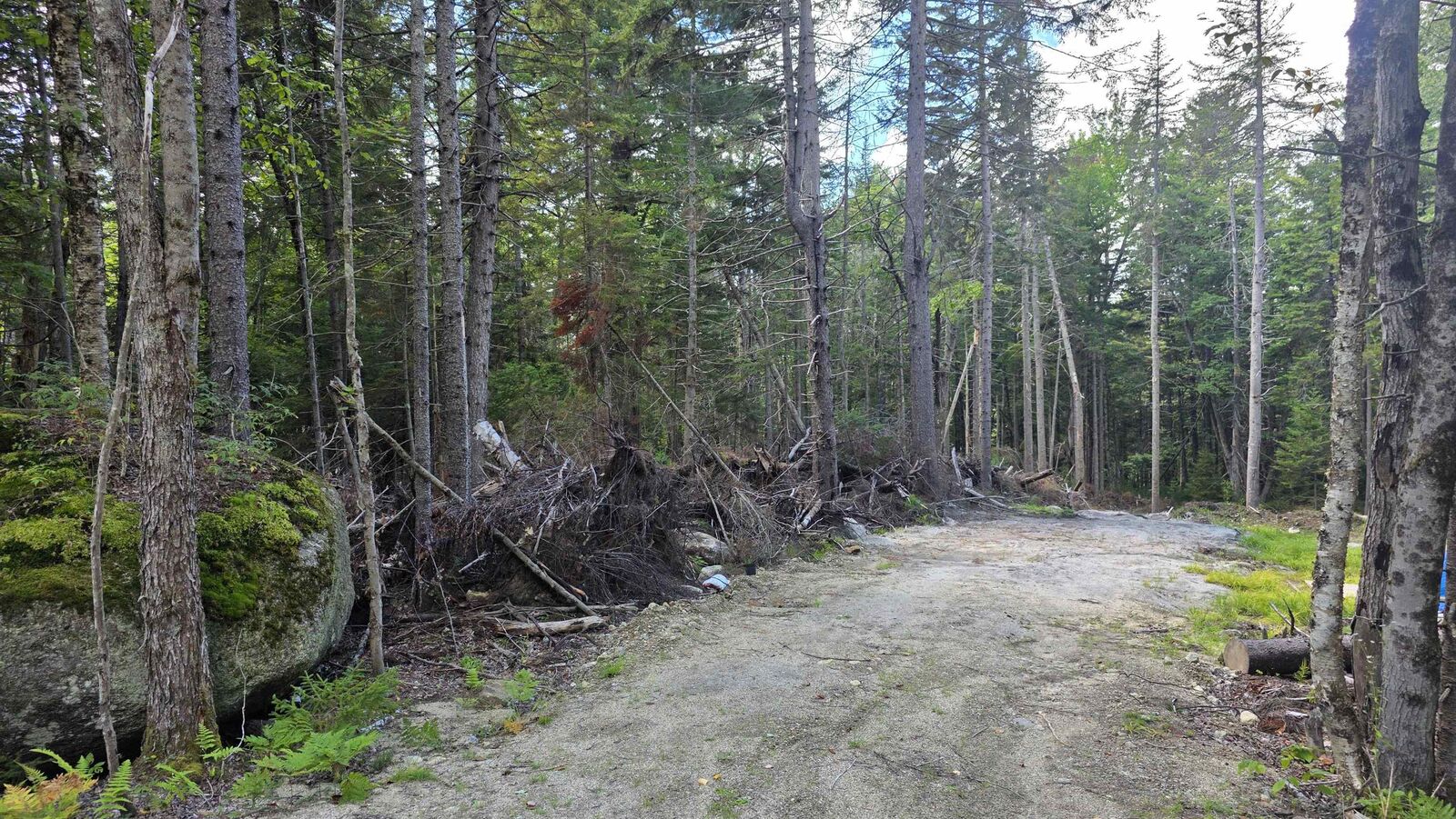 Property Photo:  M10 L41 Taylor Circle  NH 03280 