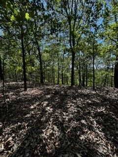 Property Photo: Cr 1520 & Tbd Amble AR 72632