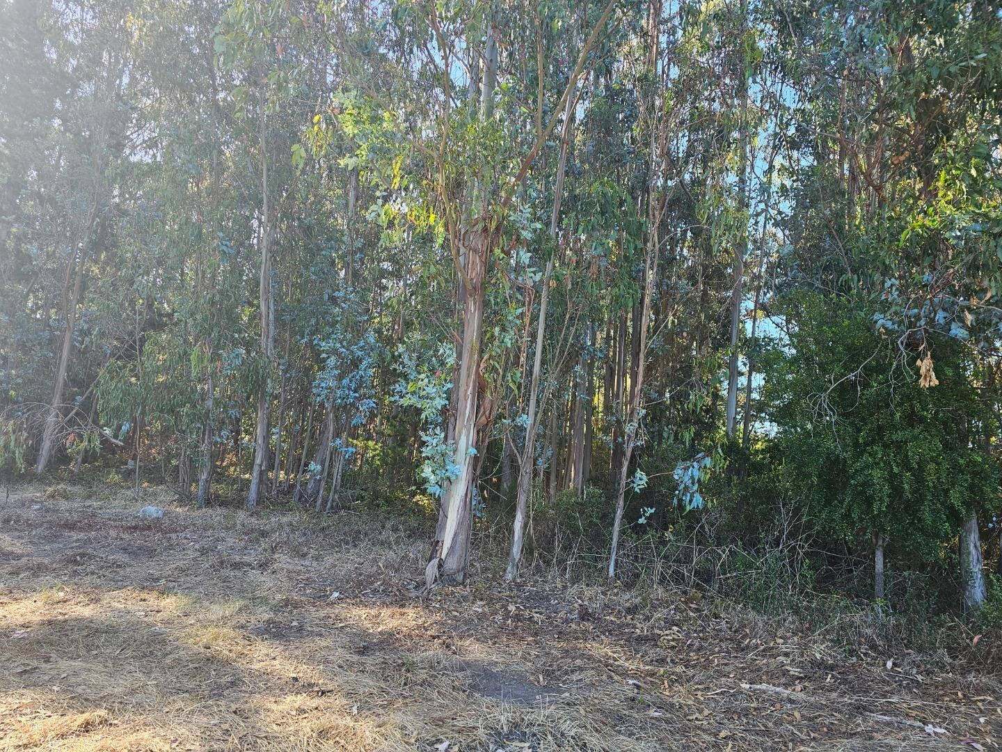 Property Photo:  00 Bonita Avenue  CA 94019 