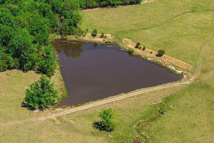 Property Photo:  71.16 Ac Highway 49  VA 24529 