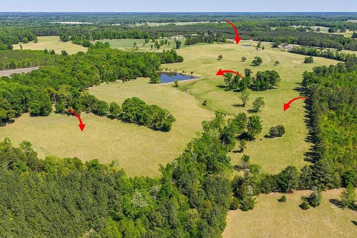 Property Photo:  71.16 Ac Highway 49  VA 24529 
