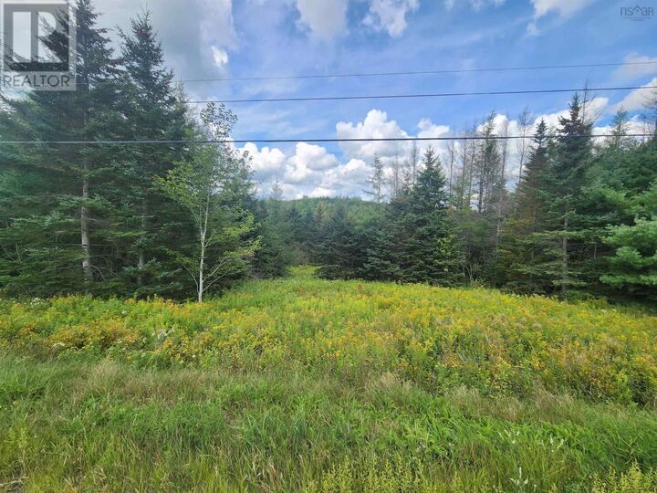 Property Photo:  Lot 236 Highway  NS B0N 1T0 