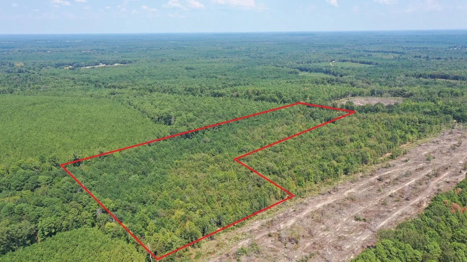 Property Photo:  3288 Texas Highway 43  TX 75657 