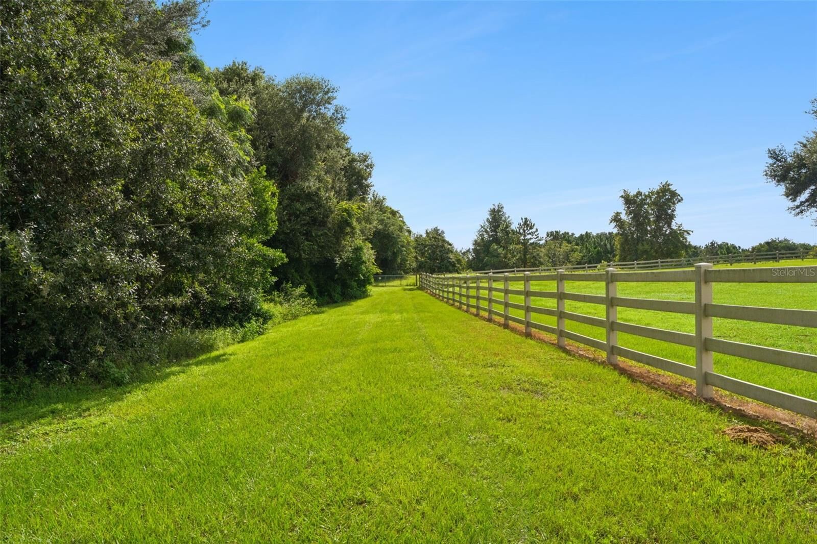 Property Photo:  Sugarloaf Mountain Road  FL 34711 