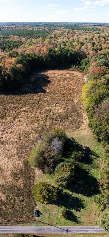 Property Photo:  42-14 Chippokes Farm Rd  VA 23883 