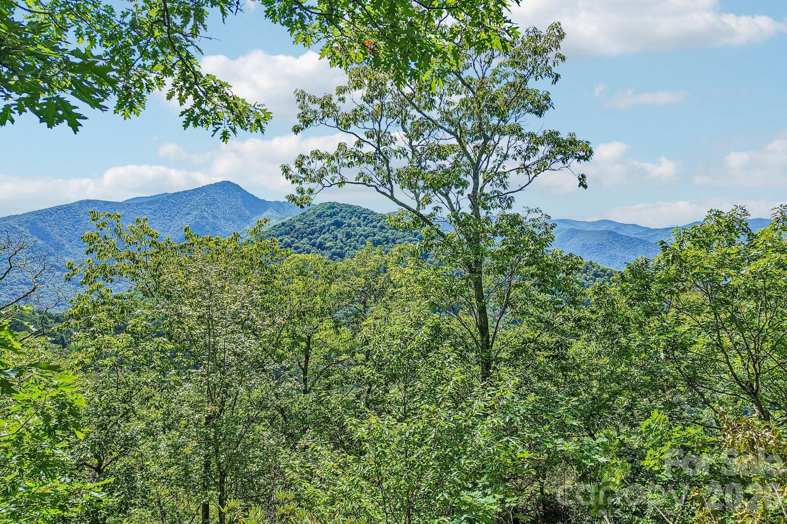 Property Photo:  G6 Ataya Trail  NC 28751 