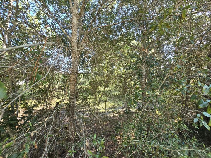 Property Photo:  Tbd Randi Road  FL 32539 