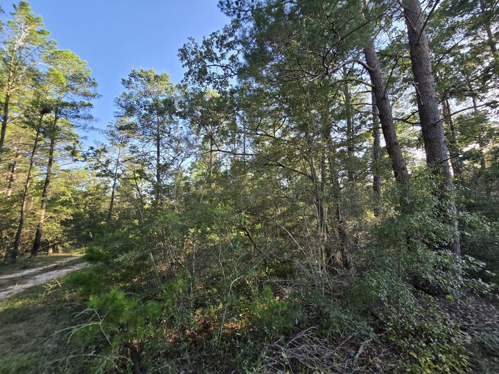 Property Photo: Tbd Randi Road FL 32539