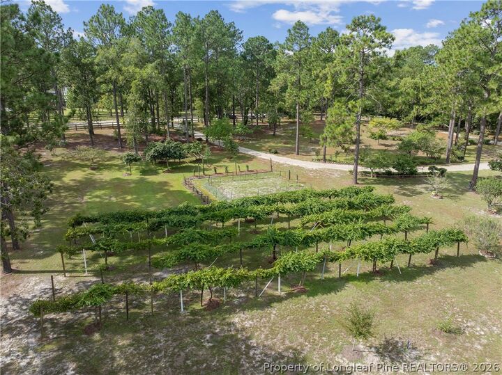 Property Photo: 242 Jody Lane NC 28376