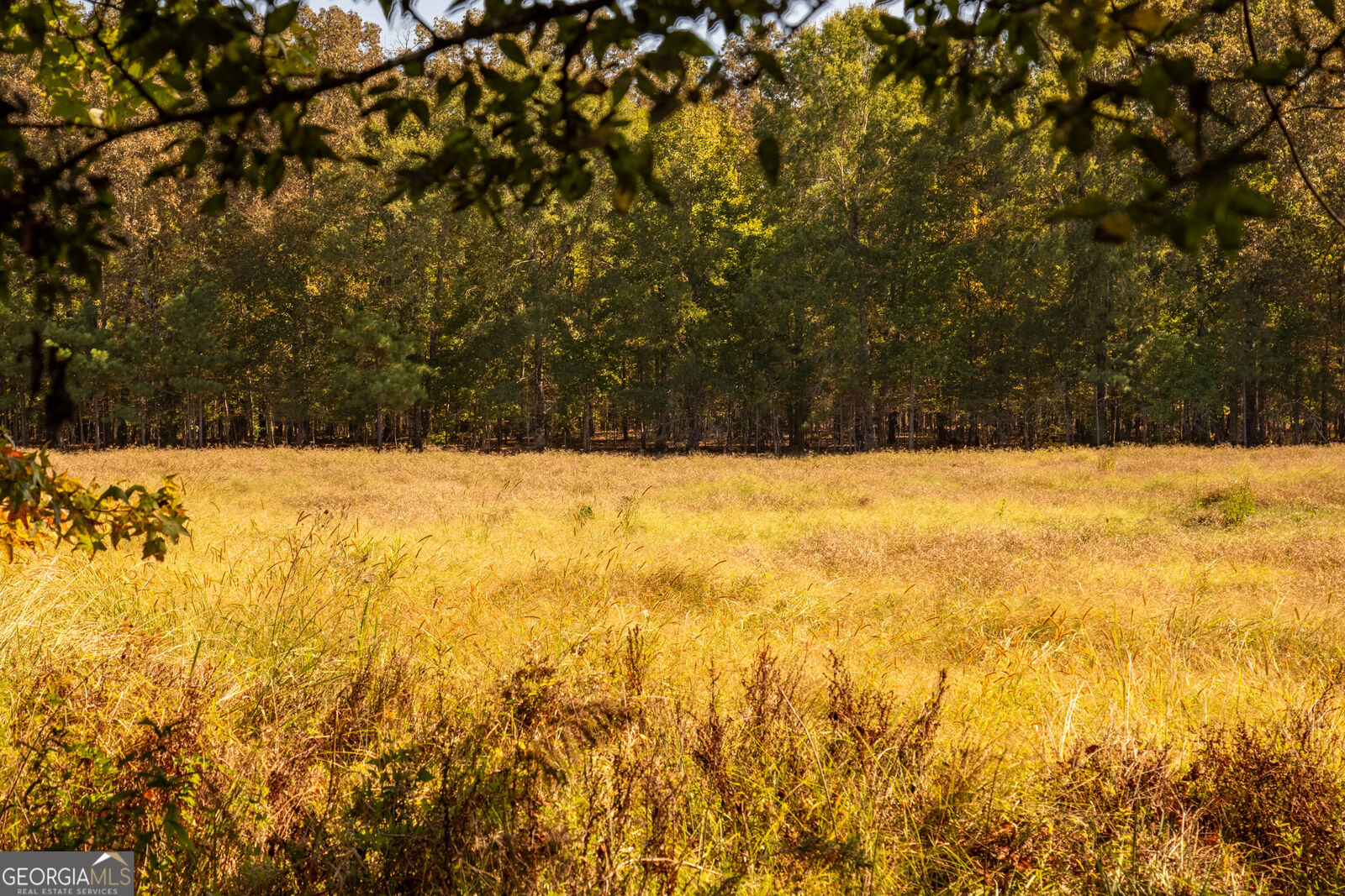 Property Photo:  0 Livingston Rd  GA 30161 