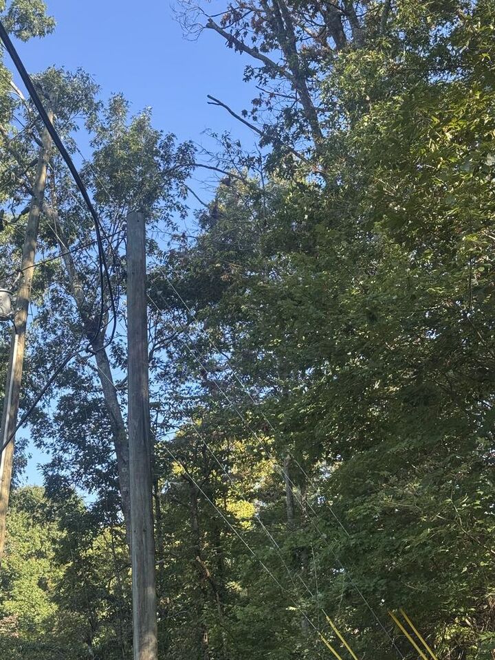 Property Photo:  Lot 5 Roberts Ridge Road  GA 30540 