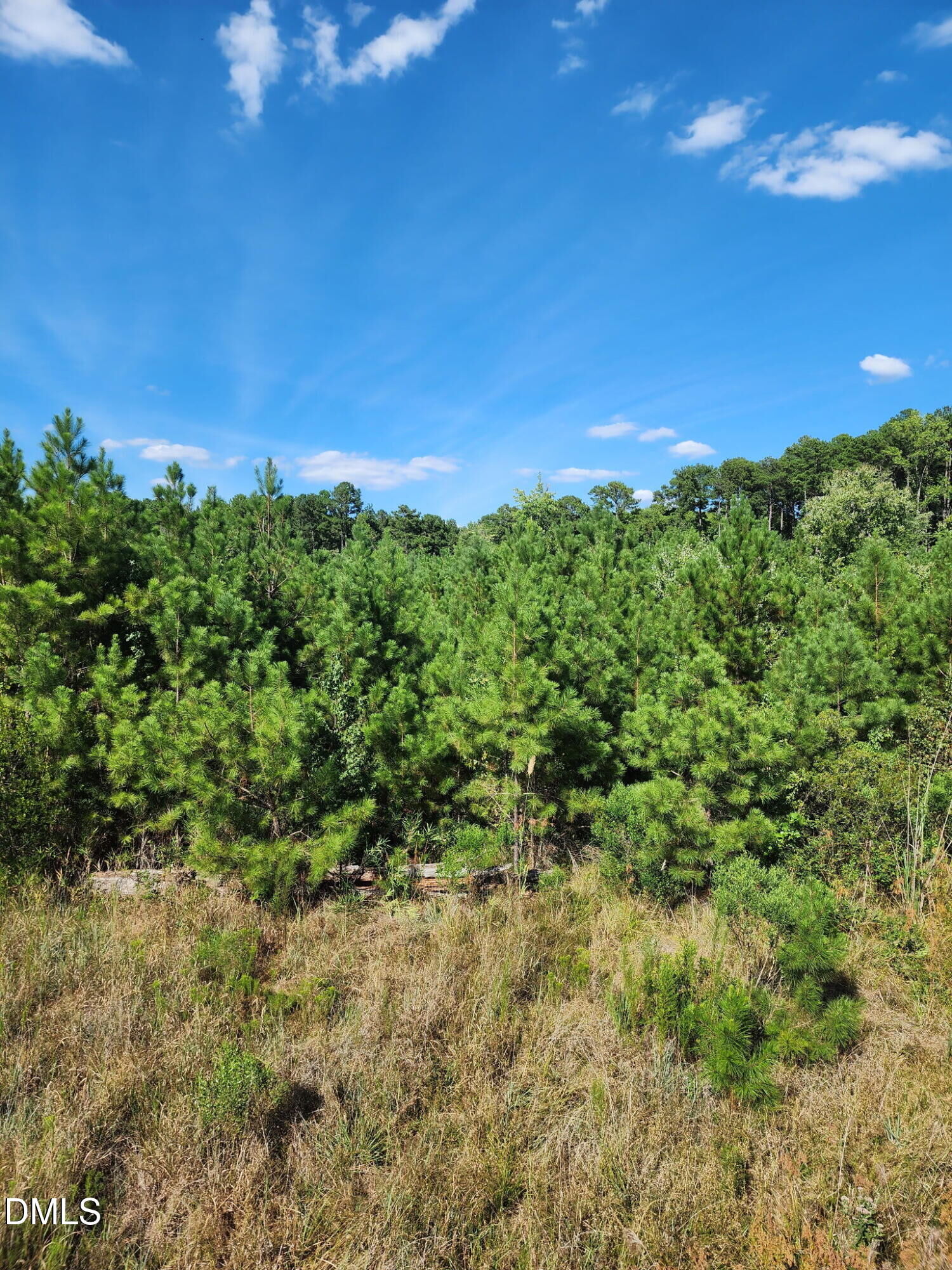 Property Photo:  0 Ten Ten Road  NC 27539 