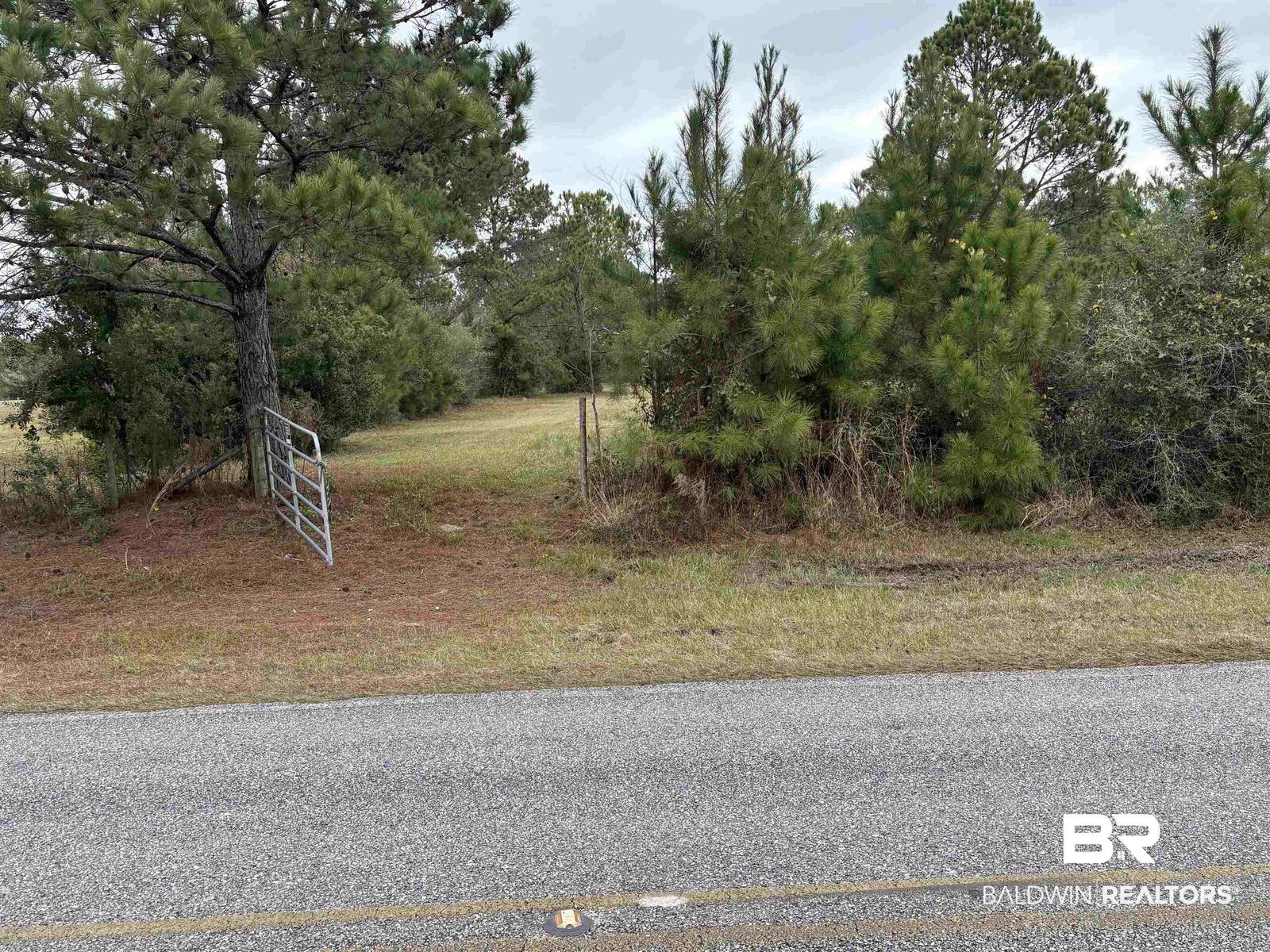 Property Photo:  31849 Randolf Avenue  AL 36549 