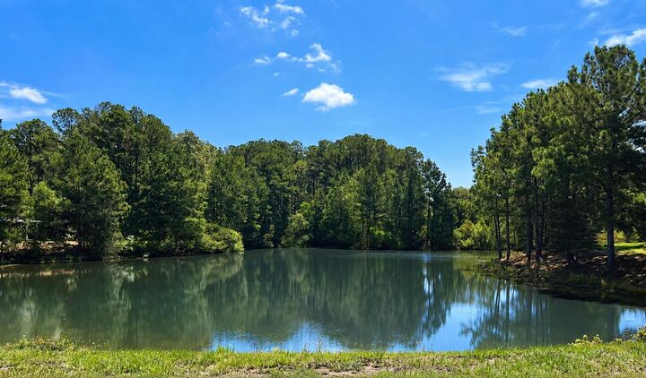 Property Photo:  511 Chicora Lane  SC 29945 