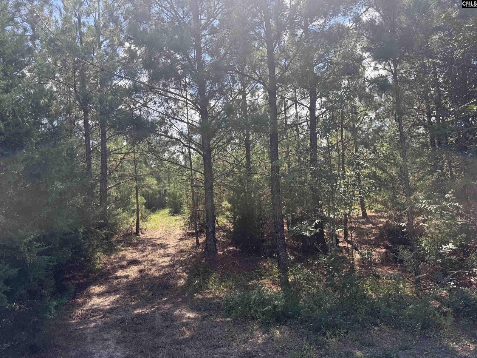 Property Photo: 0 Lathrop SC 29126