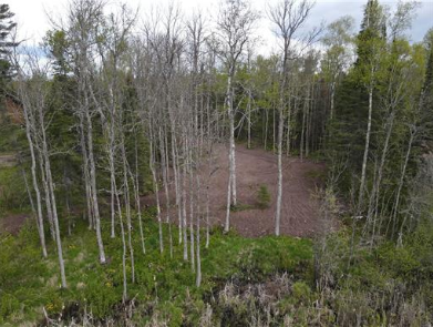 Property Photo:  7863 E Briar Lake Drive  MN 55803 