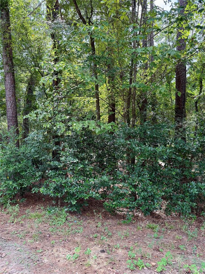 Property Photo: 0 Cottonwood Cove Lane TX 77380