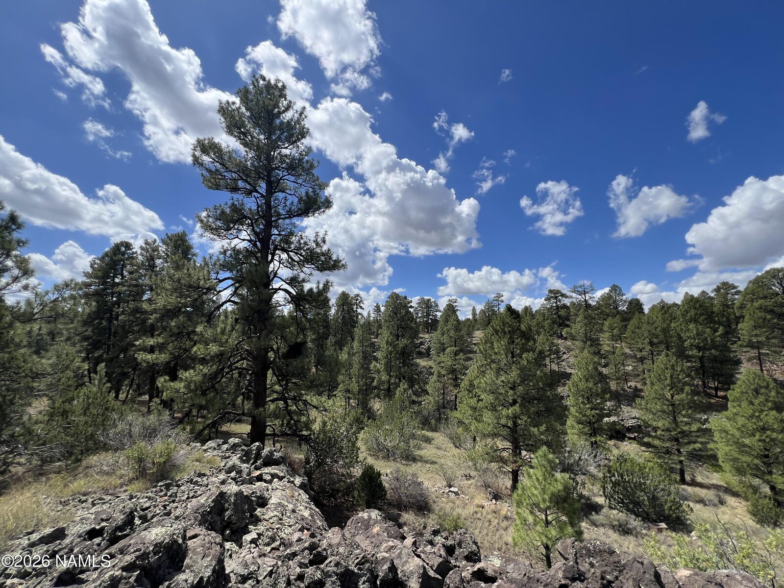 Property Photo: 5036 N Cataract Drive AZ 86046