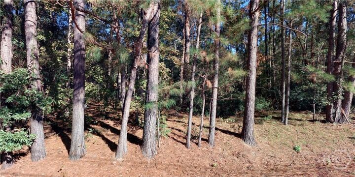 Property Photo:  Lot 1 Conaway Road  GA 31302 