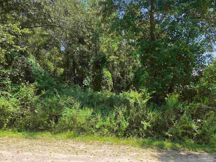 Property Photo:  900 Forehand Ln  FL 32533 