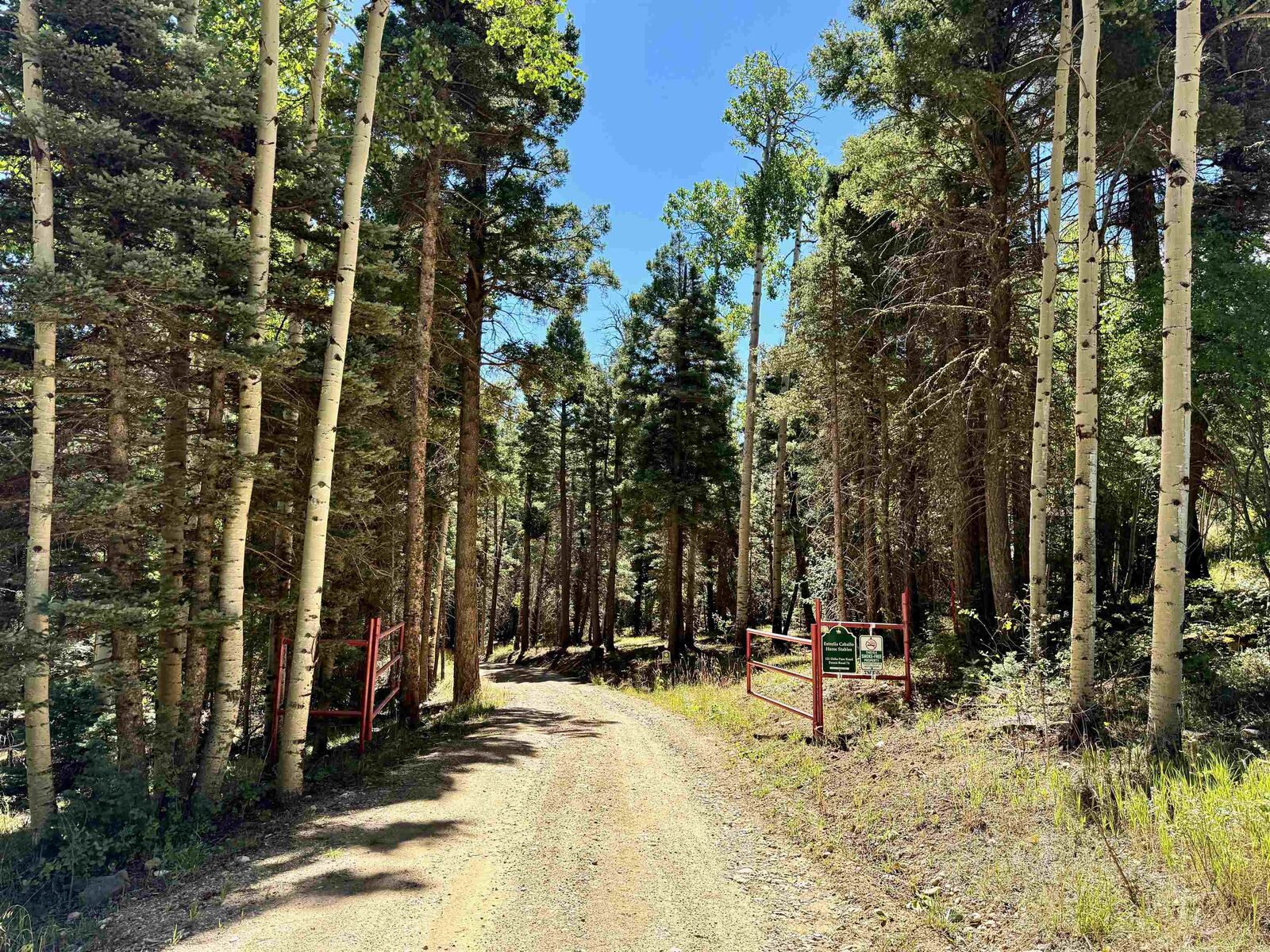 Property Photo: 131 Forest Road 76 NM 87710