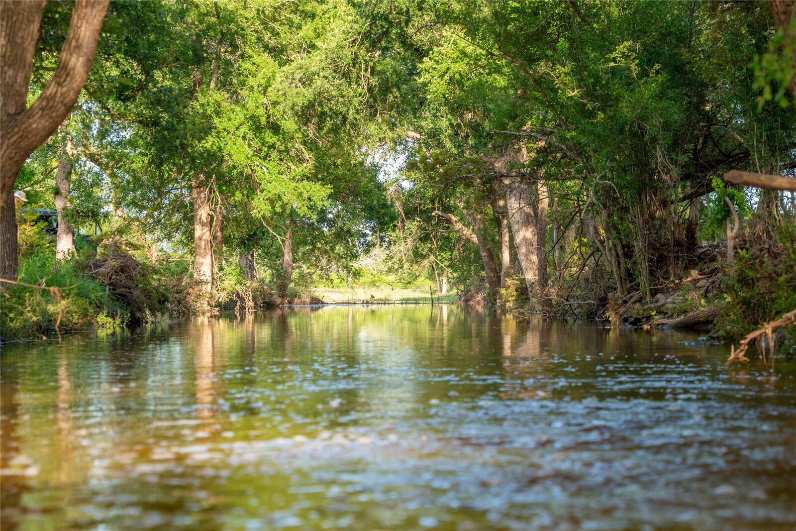 Property Photo: Tbd Cr108 TX 78611
