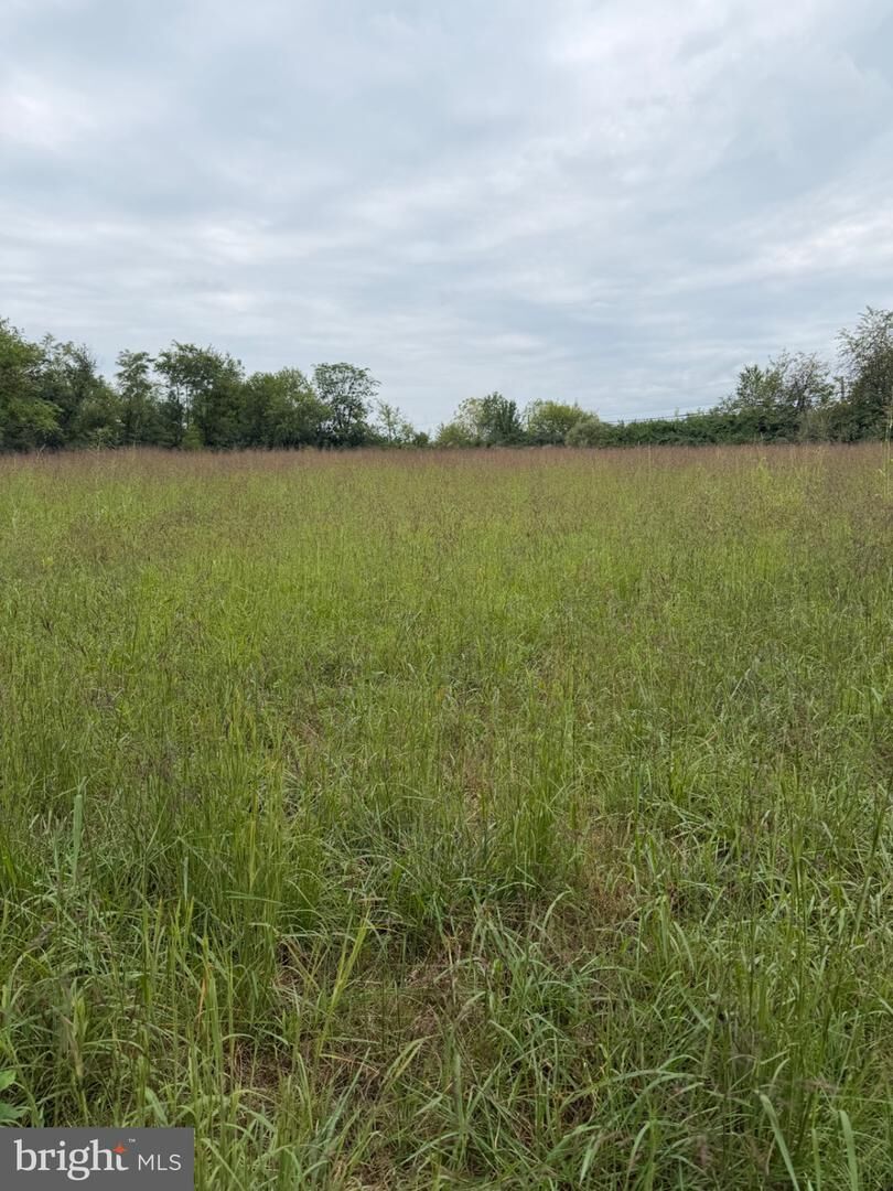 Property Photo:  Martinsburg Pike  VA 22624 