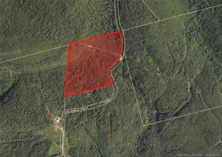Property Photo:  449 Harriet Oree Road  NB E4E 0H2 