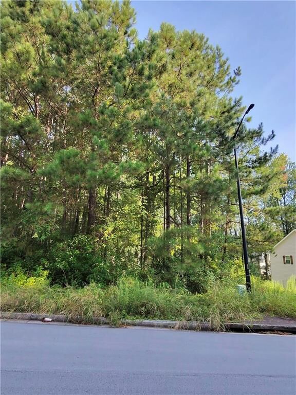 Property Photo: 203 Mary Hill Lane GA 30134