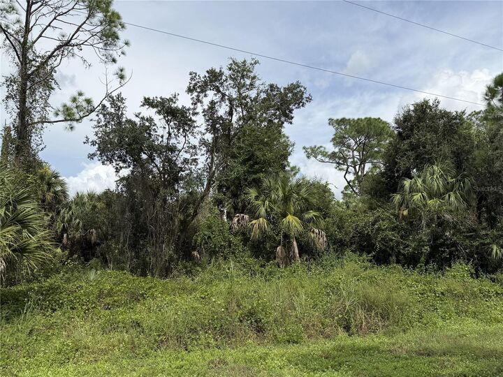 Property Photo:  Barcelona Drive  FL 34288 