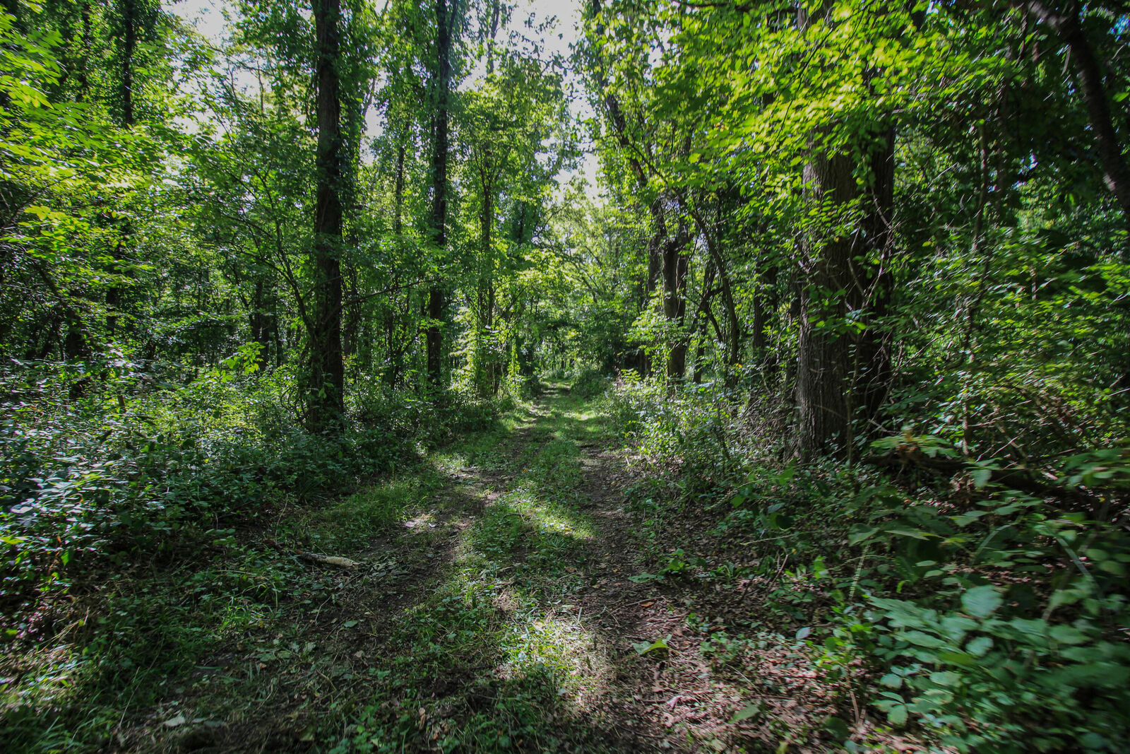 Property Photo:  V/L Millard Road  MI 49093 