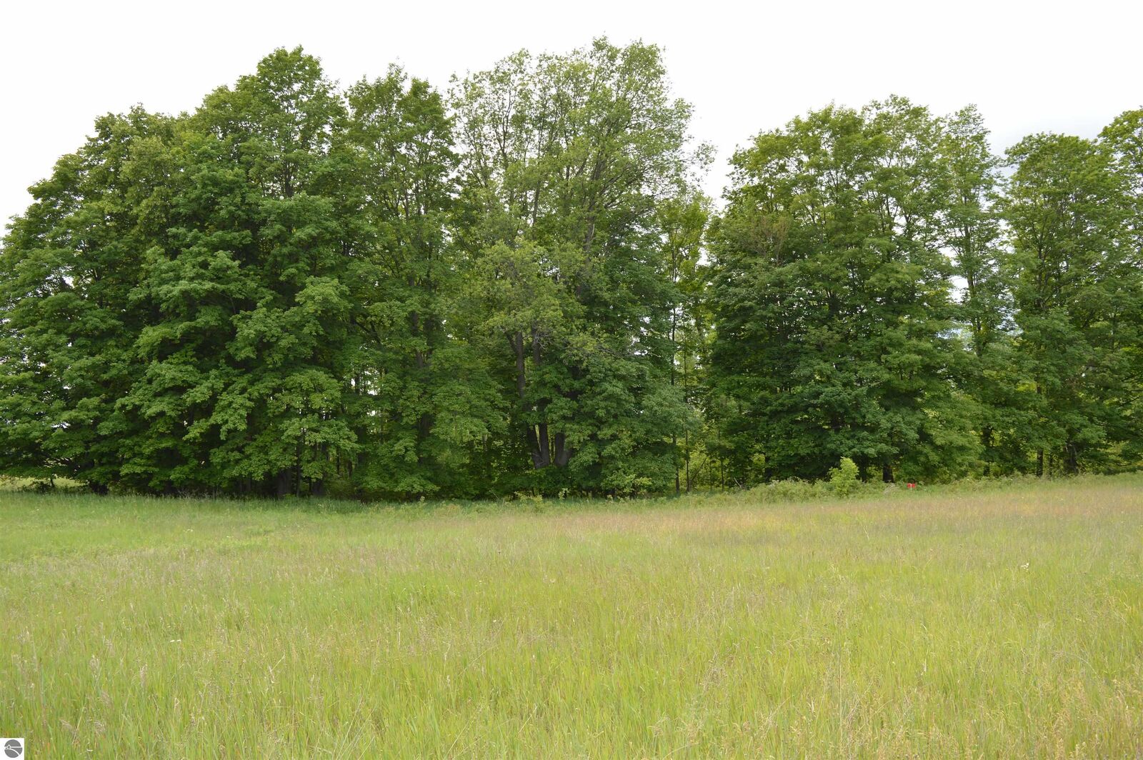 Property Photo: I Summit City Road MI 49649
