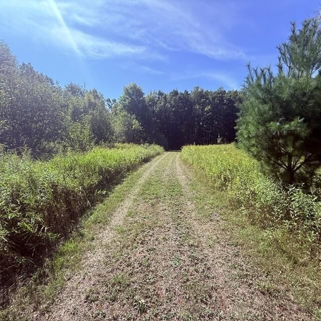 Property Photo: Tbd W Lilja Avenue WI 54871