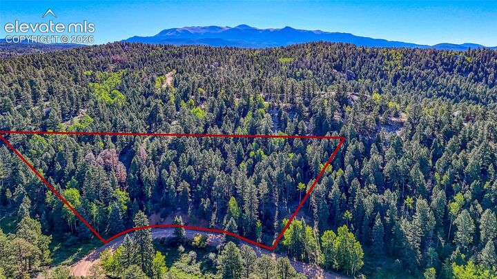 Property Photo:  776 Spring Valley Lane  CO 80816 