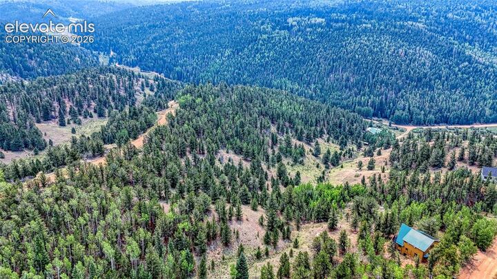 Property Photo:  71 Brown Bear Lane  CO 80813 