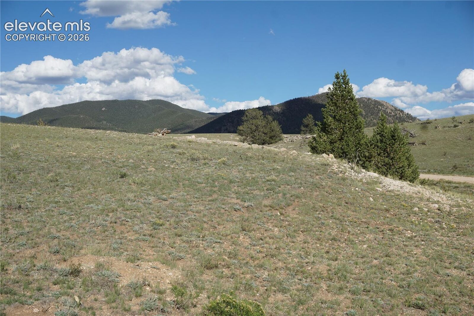 Property Photo:  907 Walls Street  CO 80449 