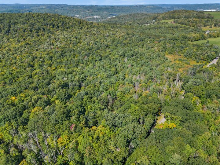 Property Photo:  299 Burts Road  NY 13795 